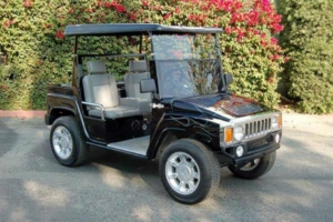 affordable golf cart rental, golf cart rent provincetown
